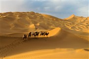 新疆之旅，愛上著遼闊無際大沙漠